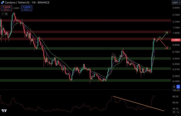 ¿Una explosión en diciembre para las altcoins? – Criptos para mirar