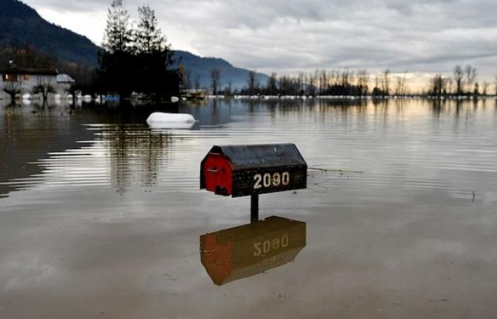 Sólo el 2% de la tierra sería suficiente para proteger la mitad de las zonas inundables habitadas