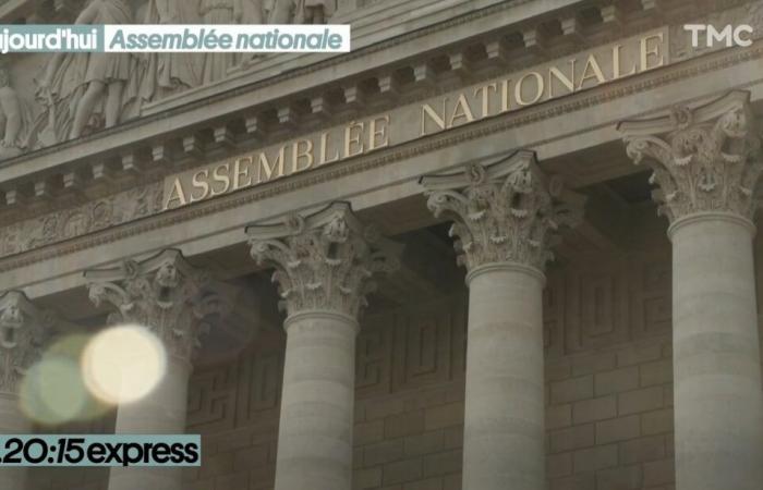 20:15 Express – Activación de 49.3: inmersión dentro de la Asamblea Nacional – Diario