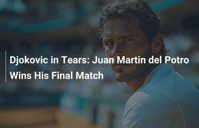 Djokovic llora: Juan Martín del Potro gana su último partido