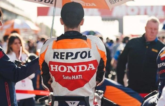 MotoGP, Luca Marini: “probamos un nuevo prototipo de Honda, no es ni siquiera más rápido que la moto anterior y los puntos débiles siguen siendo los mismos”