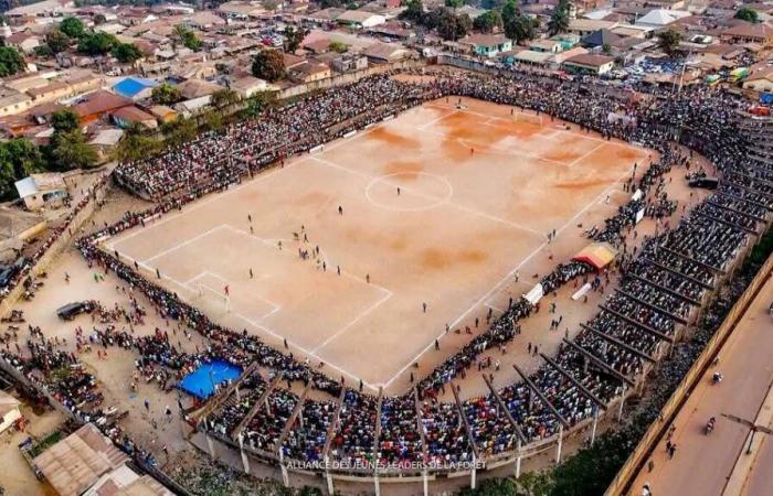 Guinea: 56 muertos y varios heridos tras un partido de fútbol | APAnoticias