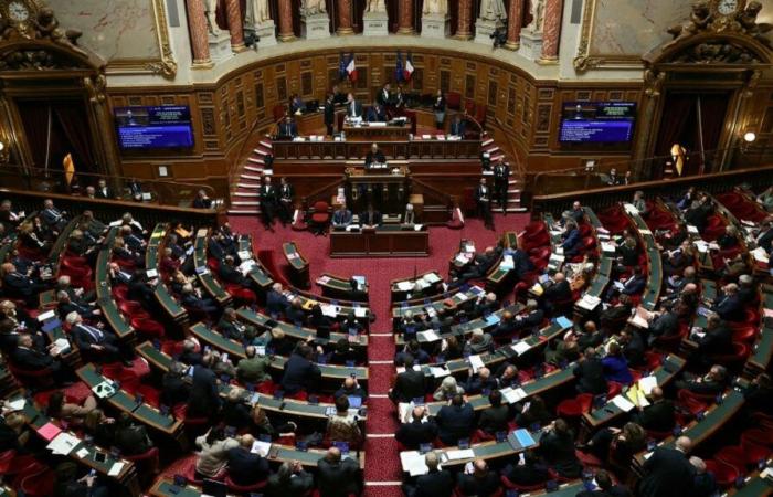 El Senado aprueba la parte de “ingresos” tras el boicot a la votación por parte de la izquierda