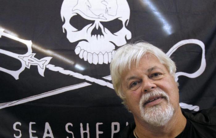 El defensor de las ballenas Paul Watson permanecerá en prisión hasta el 18 de diciembre