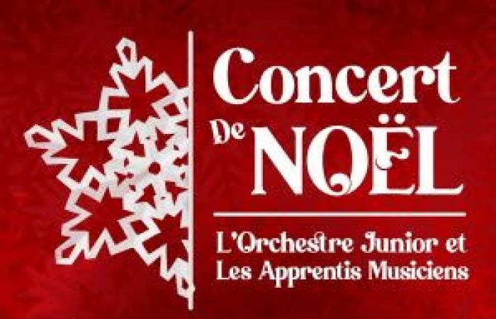 La Joven Orquesta y los Aprendices de Músicos: Concierto en Les Fins