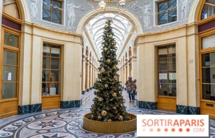 10 fantásticos lugares para tomar fotografías navideñas en París 2024 para disfrutar de las mágicas iluminaciones