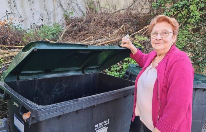 Cientos de cartas no entregadas encontradas en contenedores de basura, varios municipios de los Alpes Marítimos afectados