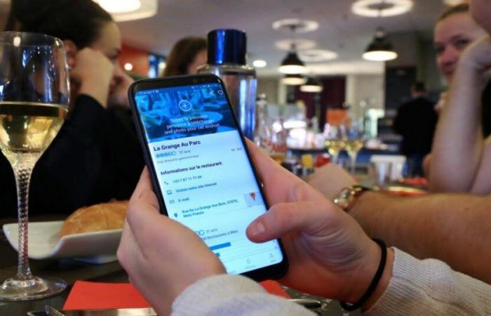 ¿Tienes en cuenta las reseñas online antes de elegir un restaurante?