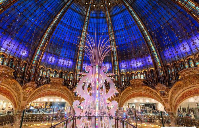 10 fantásticos lugares para tomar fotografías navideñas en París 2024 para disfrutar de las mágicas iluminaciones