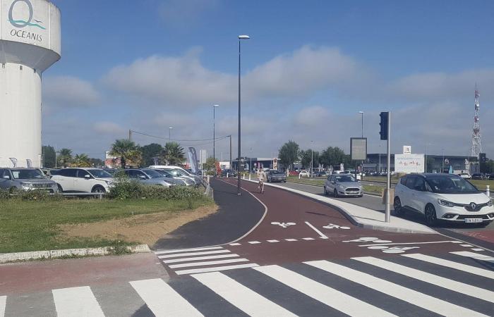 “La bicicleta es para las llagas de las grandes ciudades” – 6 ejemplos concretos que demuestran lo contrario