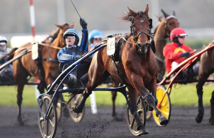 Inscripciones para el Premio Ready Cash y Bourbonnais 2024 en Vincennes