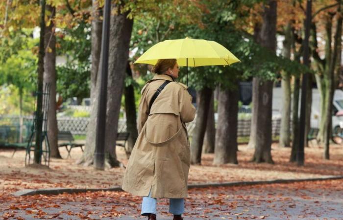 Menos lluvia de lo habitual, contraste Norte Sur para el sol y las temperaturas: ¿cómo estuvo el tiempo en noviembre?