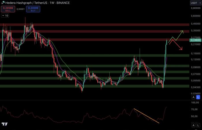 ¿Una explosión en diciembre para las altcoins? – Criptos para mirar