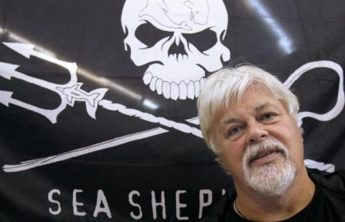 El defensor de las ballenas Paul Watson permanecerá en prisión hasta el 18 de diciembre