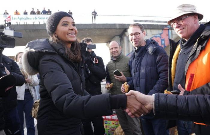 “Tenemos que dejar de creer a los políticos”: Karine Le Marchand quiere lanzar una petición en apoyo de los agricultores