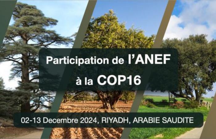 ANEF participa en la COP16 sobre la lucha contra la desertificación