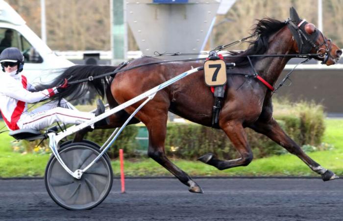 PMU – Llegada de la quinta el lunes 2 de diciembre a París-Vincennes: Jizou d’Etang causa una fuerte impresión