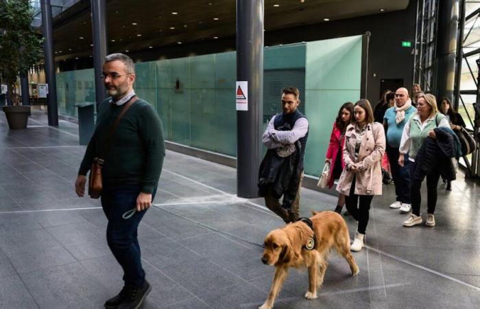 En el juicio por asesinato de Victorine, un perro abraza a las víctimas