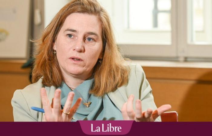 Formación de Bruselas: ningún veto del PS contra el N-VA pero sí contra la nota de Elke van den Brandt