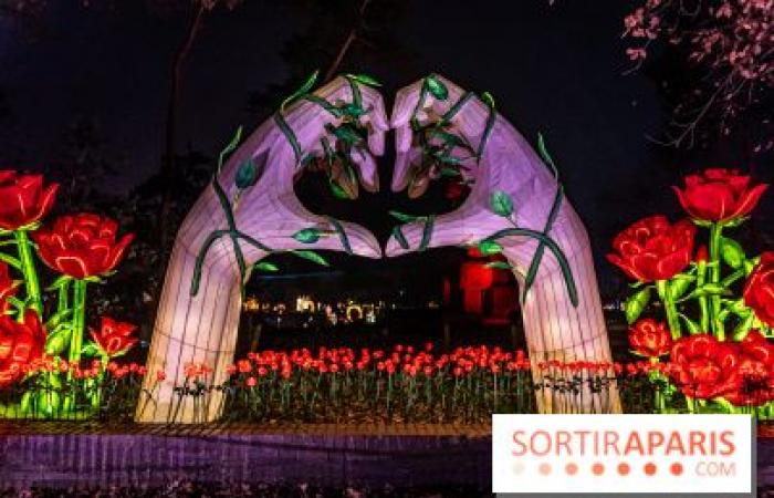 10 fantásticos lugares para tomar fotografías navideñas en París 2024 para disfrutar de las mágicas iluminaciones