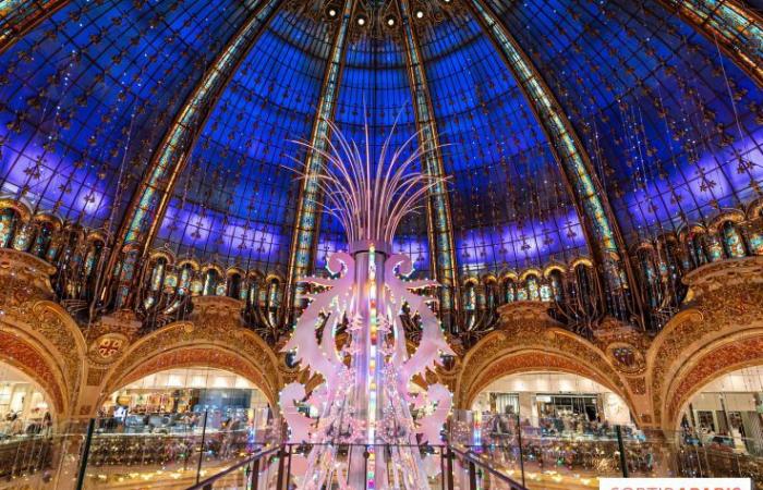 10 fantásticos lugares para tomar fotografías navideñas en París 2024 para disfrutar de las mágicas iluminaciones