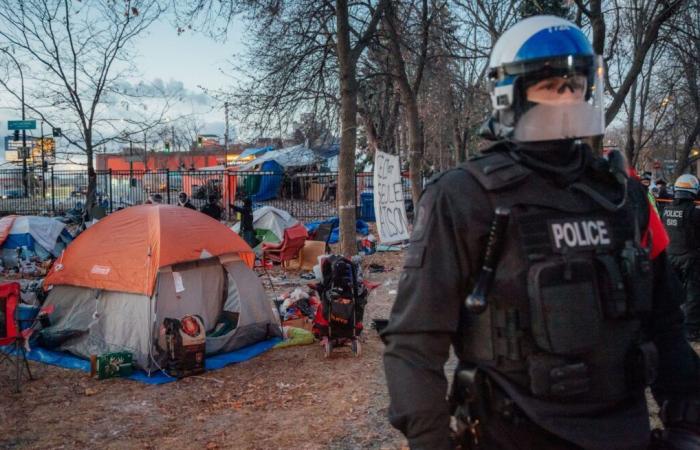 Ha comenzado el desmantelamiento de parte del campo de Notre-Dame