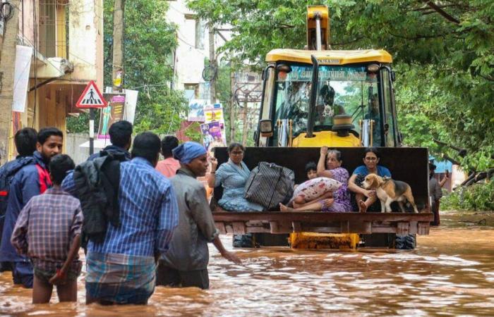 El ciclón Fengal mata a 20 personas en Sri Lanka y la India