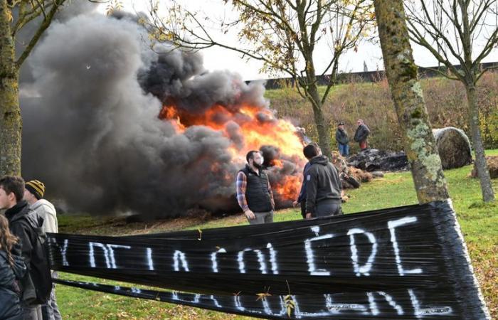 Ira de los agricultores: rotonda en llamas, árbol de Navidad frente al DDT… la JA y la FDSEA de Gers se movilizan de nuevo