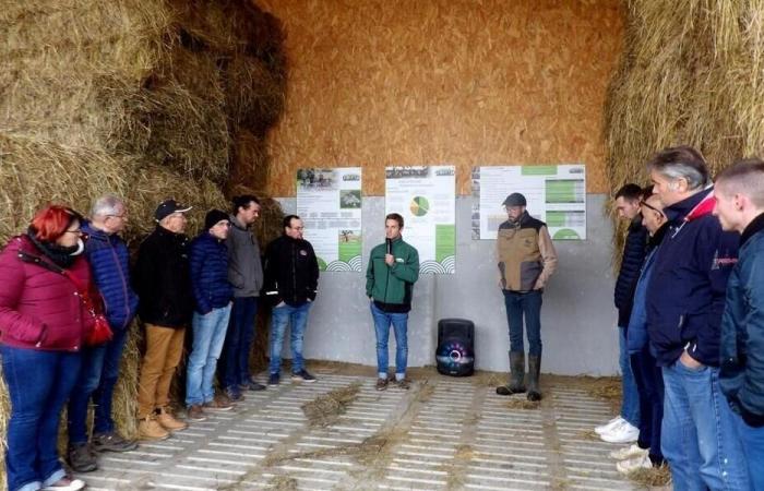 “Ganamos un máximo de 10°C”: cerca de Cholet, el secador de heno funciona con energía solar