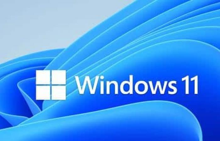 Windows 11 24H2: importantes incompatibilidades con dispositivos USB