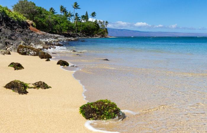 Pronóstico del tiempo en Maui para el 2 de diciembre de 2024: Maui ahora