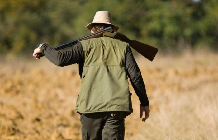 cazadores y tiradores deportivos obligados a declararlos rápidamente