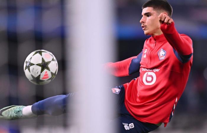 Ligue 1 – J13: Dos nuevos residentes del Lille en indulto, el punto de tarjeta después del Montpellier HSC – LOSC