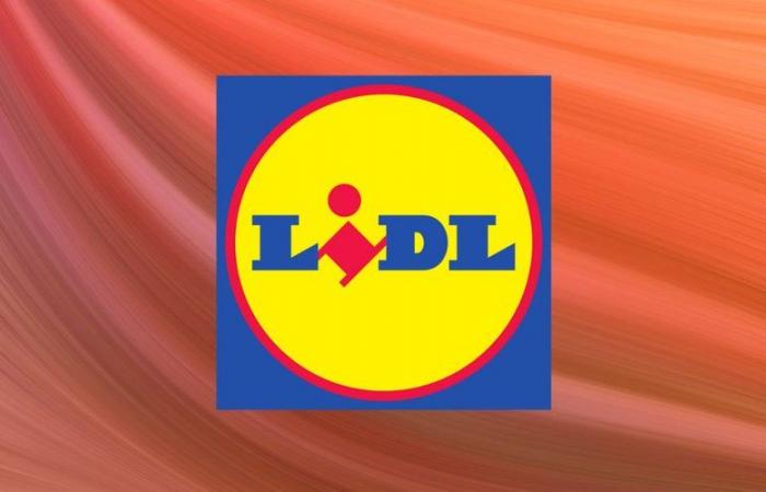 Cyber ​​​​Monday Lidl: últimas horas para hacerse con el rompecabezas PARKSIDE® a un precio récord