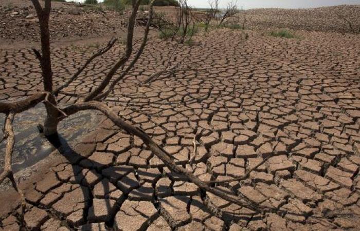 Sequía y degradación de la tierra en África – AgriMaroc.ma