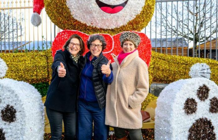 Mercado navideño de Morges