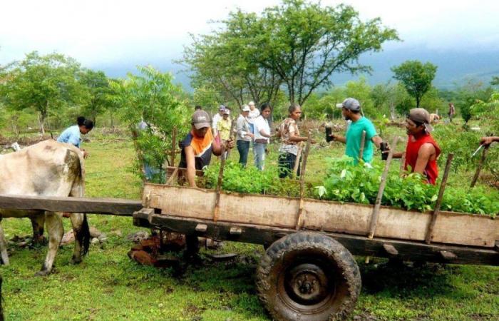 Delémont suspende su apoyo financiero a Nicaragua por motivos políticos