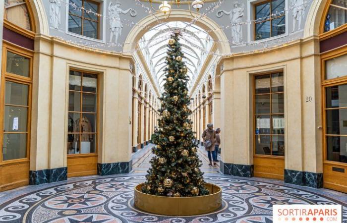 10 fantásticos lugares para tomar fotografías navideñas en París 2024 para disfrutar de las mágicas iluminaciones