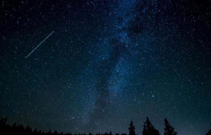 un estudiante descubre un increíble planeta alrededor de una estrella