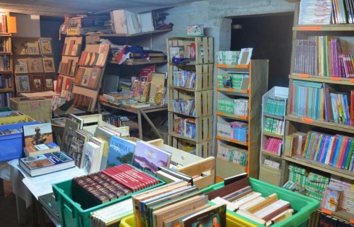 un intercambio solidario de libros para proyectos en Togo