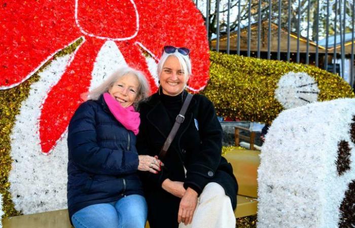 Mercado navideño de Morges