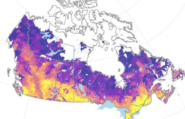 Sólo el 2% de la tierra sería suficiente para proteger la mitad de las zonas inundables habitadas