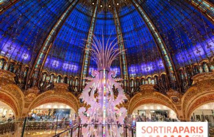 10 fantásticos lugares para tomar fotografías navideñas en París 2024 para disfrutar de las mágicas iluminaciones