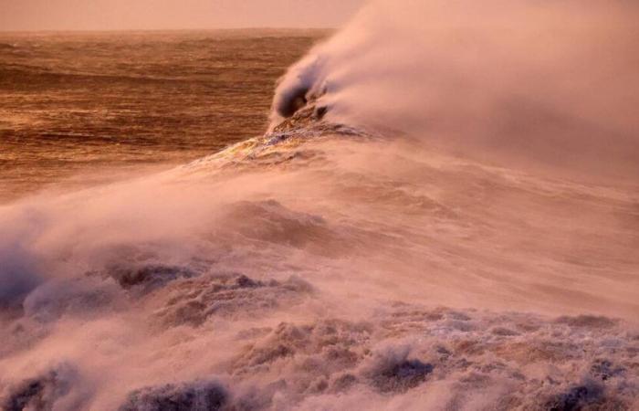 Mar embravecido, olas de más de 7 metros… primer aviso de tormenta para la Vendée Globe en el Océano Índico – Libération