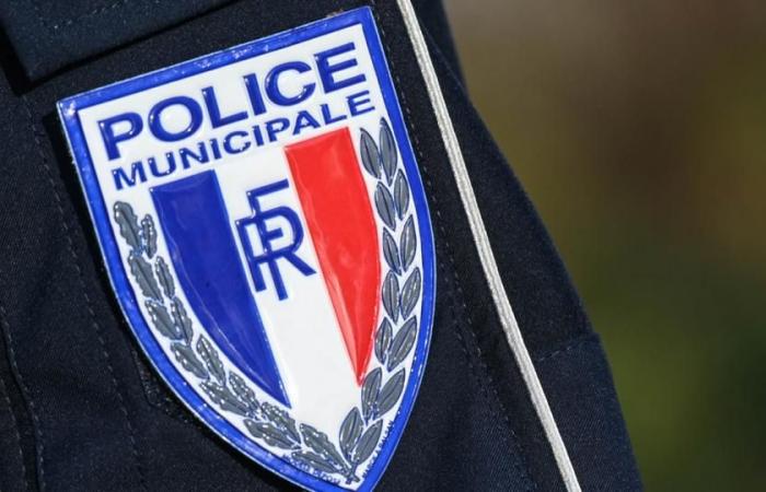 Se abre una investigación tras el feminicidio en Aulnay-sous-Bois