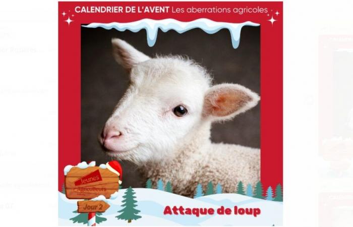 Más información en Drôme Ardèche: en Ardèche, el calendario de Adviento de las aberraciones agrícolas