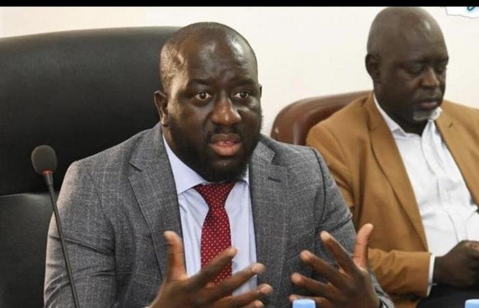 Alioune Sall: “Hasta la fecha, ninguna estructura audiovisual cuenta con la autorización del Ministro responsable de la Comunicación”