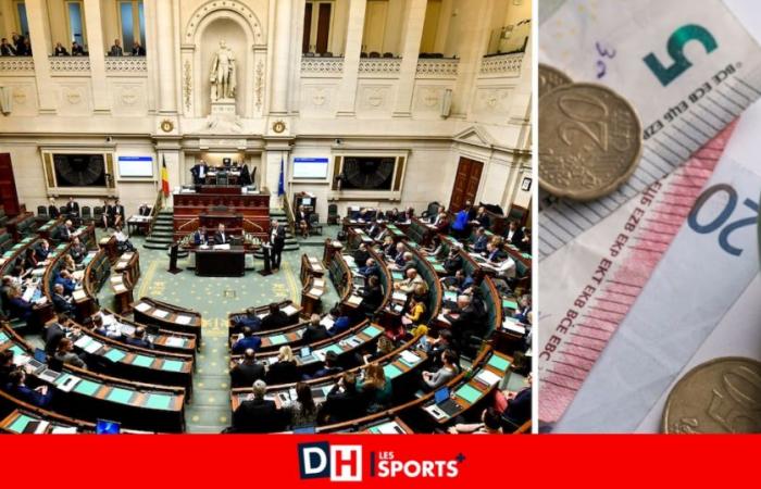 Indemnizaciones de salida para los diputados: por una vez nos hubiera gustado que Bélgica perdiera su partido contra Francia…