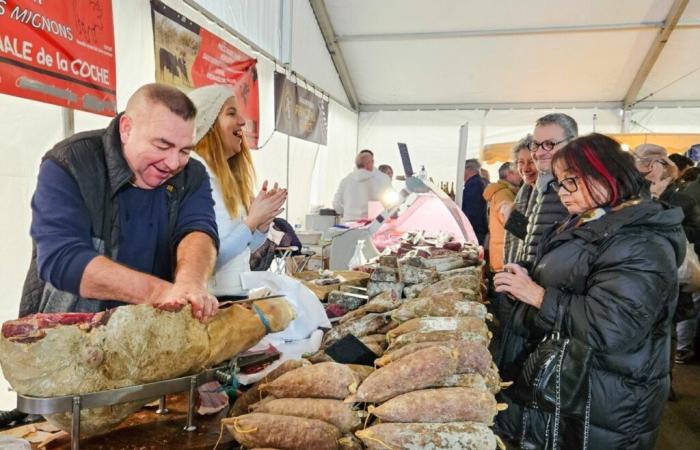 En Gironda, esta feria con más de 500 años regresa con un atractivo programa