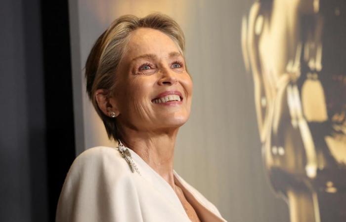 Sharon Stone sin piedad para un director con el que trabajó